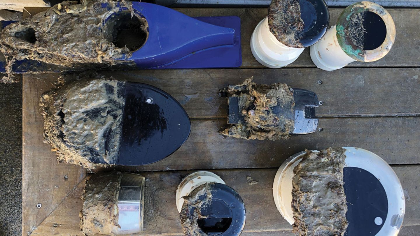 Coated versus uncoated