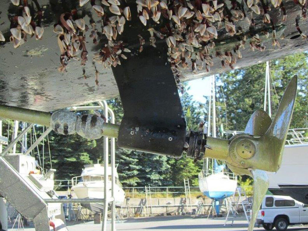 Hard-shell-growth-on-Nereida's-hull-in-comparison-to-a-clean-Propspeed-coated-propeller-and-shaf