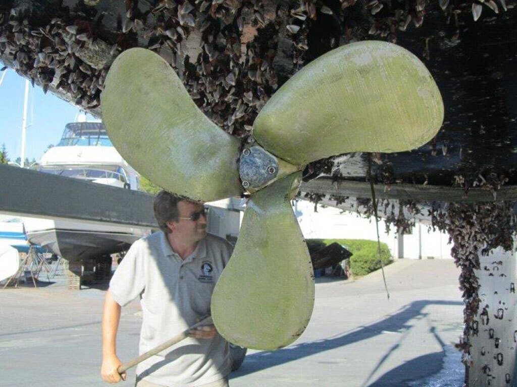 Hard-shell-growth-on-Nereida's-hull-in-comparison-to-a-clean-Propspeed-coated-propeller