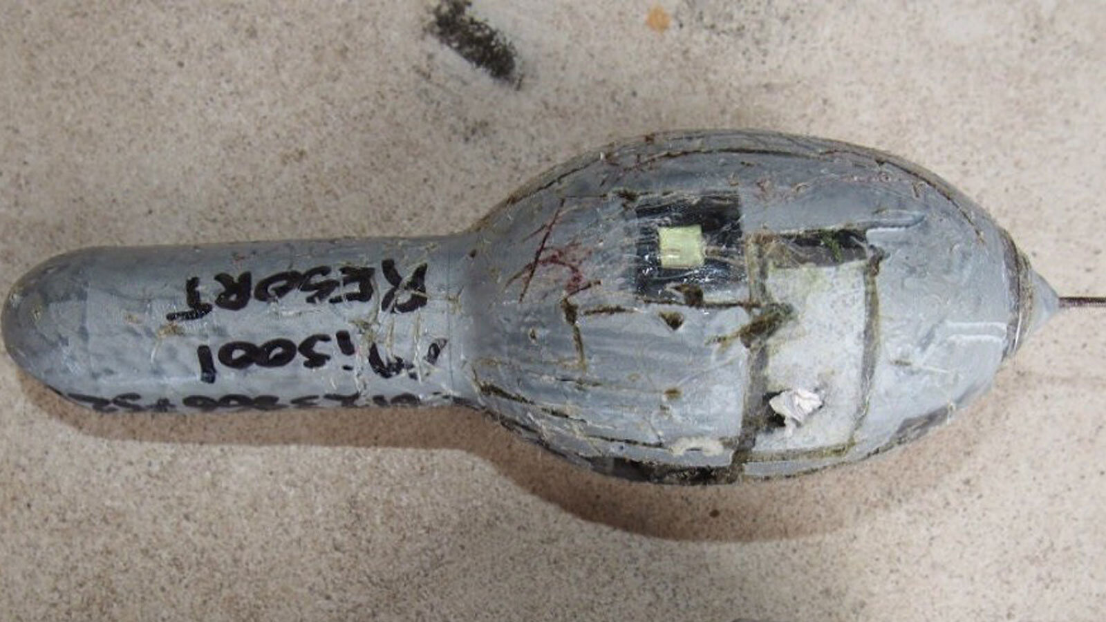 Satellite-tag-recovered-after-6-months-in-the-water