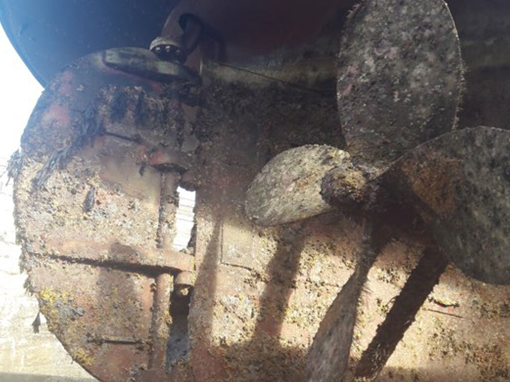 William-C-Daldy's-propellers-before-Propspeed-covered-in-marine-growth